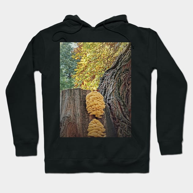 chicken of the woods Hoodie by psychoshadow